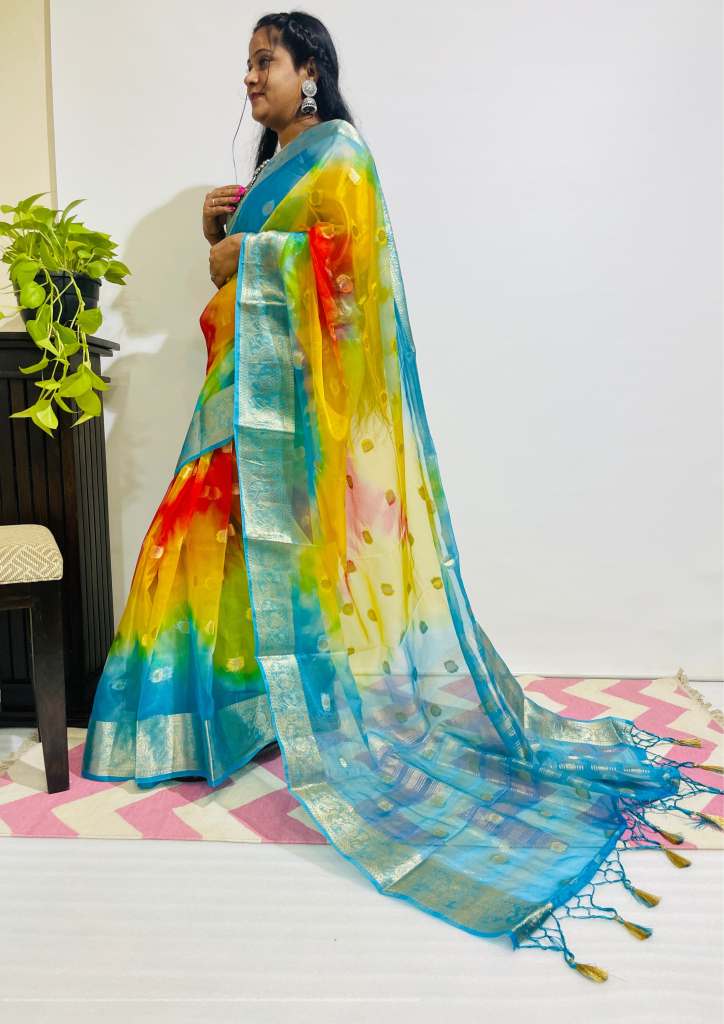 Blue floral vine embroidery fancy organza saree, patchwork border & pallu  of intricate zari work & meenakari motifs