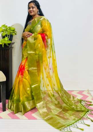 Adoring Pure Zari Work Multi Color Pure Organza Saree  