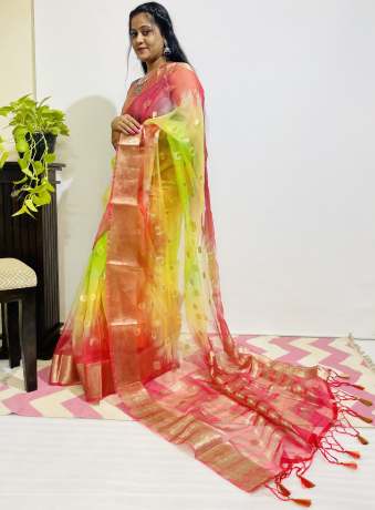 Adoring Pure Zari Work Multi Color Pure Organza Saree  Organza Saree