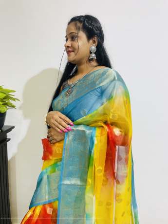 Adoring Pure Zari Work Multi Color Pure Organza Saree  Organza Saree