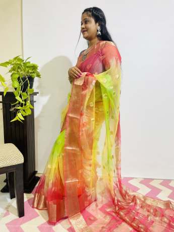 Adoring Pure Zari Work Multi Color Pure Organza Saree  Organza Saree