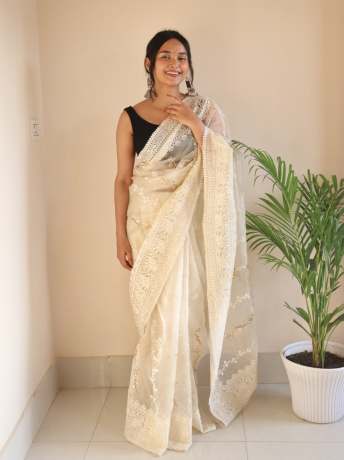 Chikankari Worked Chiku Colored Pure Organza Saree  Organza Saree