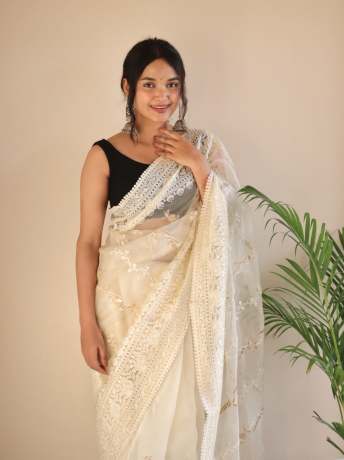 Chikankari Worked Chiku Colored Pure Organza Saree  Organza Saree