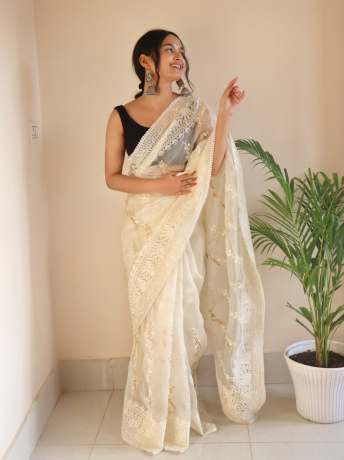 Chikankari Worked Chiku Colored Pure Organza Saree  Organza Saree