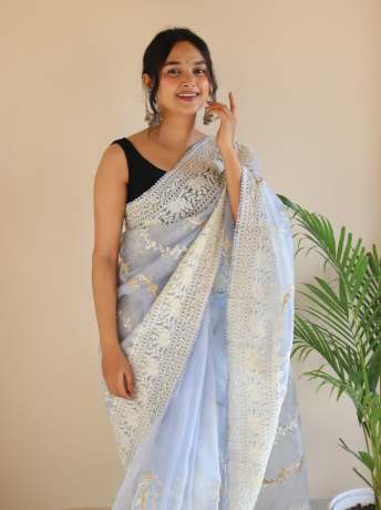 Chikankari Worked Light Sky Colored Pure Organza Saree  Organza Saree