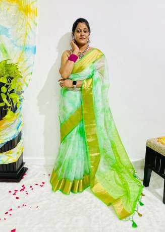 New Contrast Color Pure Organza Silk Light Green Saree  Organza Saree