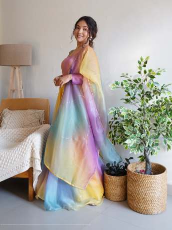 Rabba Dark Multi Color Pure Organza Gown  Gown