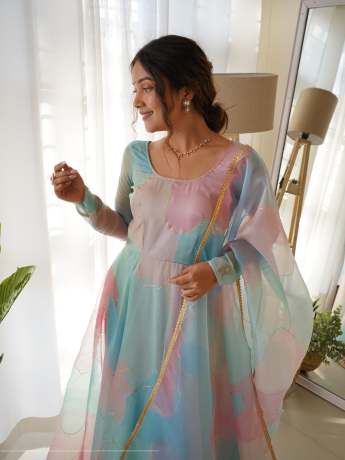 Rabba Multi Color Pure Organza Gown  Gown