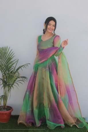  Rabba Rainbow Green Print Pure Organza Anarkali gown Gown