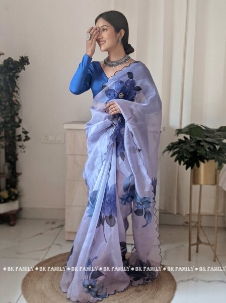 Sky Color Hit Selling Organza Saree 