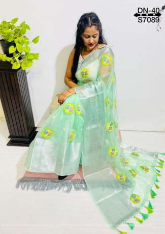 Spotted Silver Zari and Heavy Embroidery Work Lime Green Organza Saree  Organza Saree